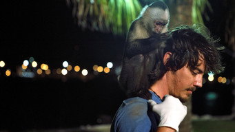 #4 Who's Your Monkey?