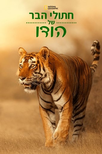 חתולי הבר של הודו