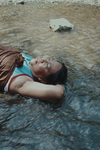 A Distant Call poster