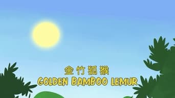 Golden Bamboo Lemur