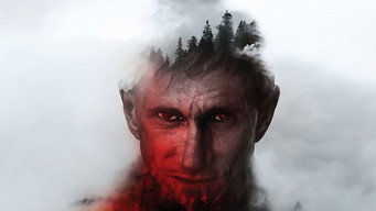 A Stranger in the Woods (2024)