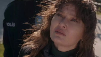 Episode 1 — Episode 1