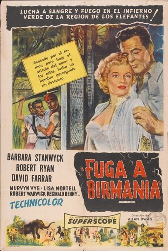 Poster of Fuga a Birmania