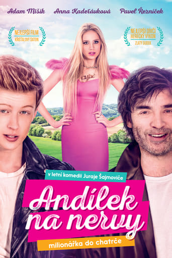 Poster of Andílek na nervy