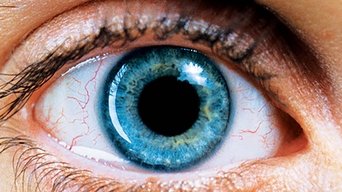 Galeria 1 - Réquiem por un sueño