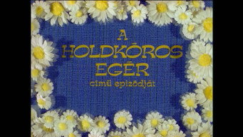 Episodio 7 — Episodio 7
