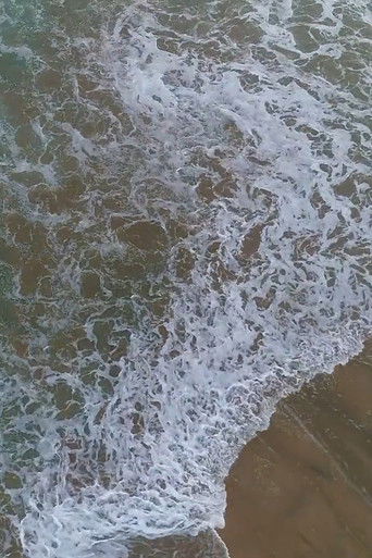 Fissures of Violence poster