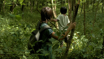 The Cormorants (2016)