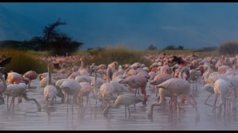 Galeria 3 - Enchanted Kingdom