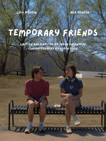 Temporary Friends — Posters 3