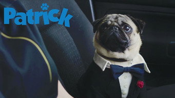 Patrick media image