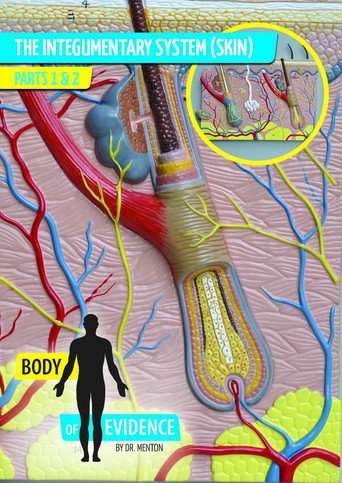Body of Evidence: The Integumentary System (1970)