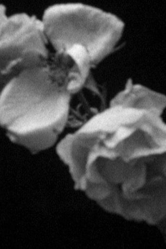 In a Norman Garden (2018)