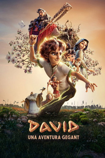 Cartell de David, una aventura gegant