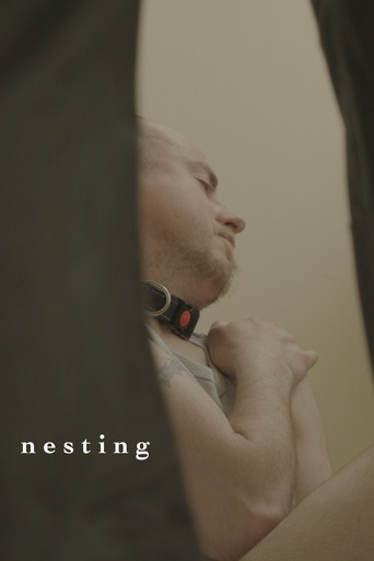 Cartell de Nesting