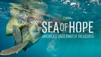 Sea of Hope (2017)