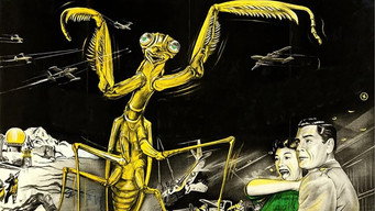 #5 The Deadly Mantis