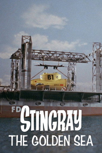 Stingray: The Golden Sea