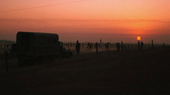 #63 Холоднокровний Люк