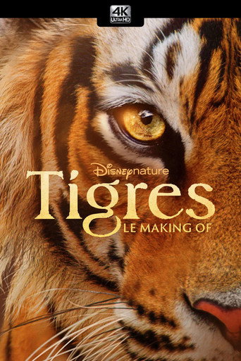 Affiche de Tigres : le making of