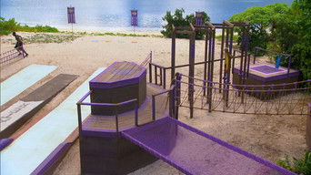 Survivor S27E14 poster