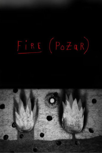 Fire (Pożar) (2015)