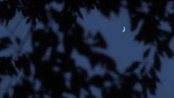 #32 Nostos: The Return