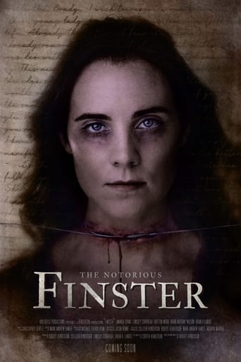 Poster of The Notorious Finster