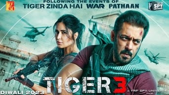 #20 Tiger 3