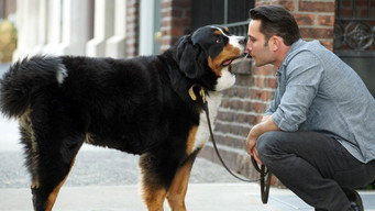 Dogs in the City (2012)