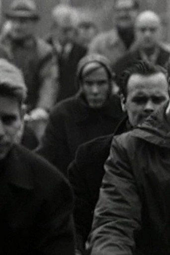 Bicycle (1965)