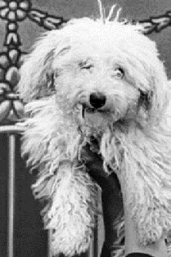 Sadie Streisand-Gould