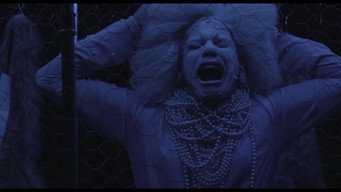 Escena 1 de Who Is Afraid?
