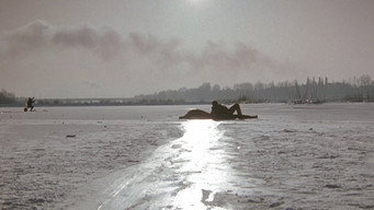 #22 Три кольори: Білий
