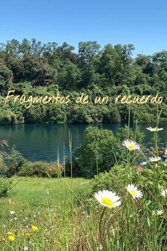 Fragmentos de un recuerdo poster