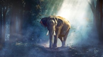 Equator's Wild Secrets - S1E01