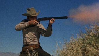 #17 Posse from Hell