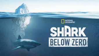 #10 Shark Below Zero