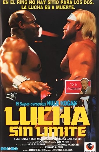 Poster of Lucha sin límite