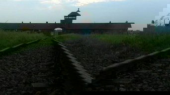 View Image