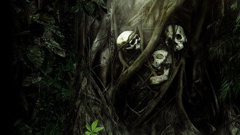 Secrets in the Jungle (2022- )
