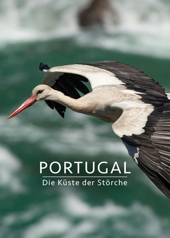 Portugal - Die Küste der Störche poster