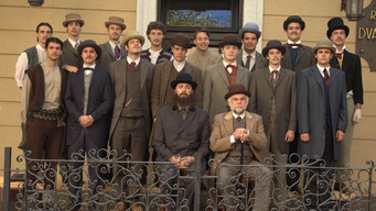 Professor Kosta Vujic's Hat (2013)