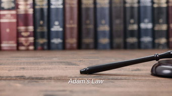Adam's Law (2026- )
