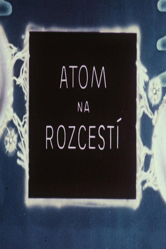 Atom na rozcest&iacute; (1947)