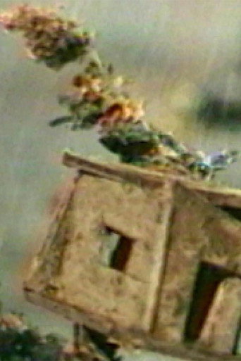 The Hundred Videos #4 (1996)