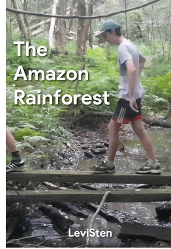 The Amazon Rainforest