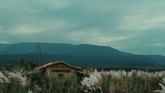 Roid (2026)
