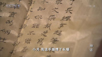 第43話：Episode 43