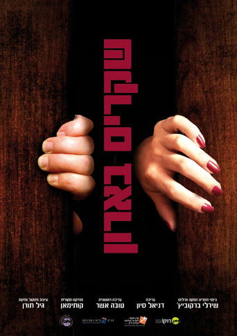 שקרים בארון